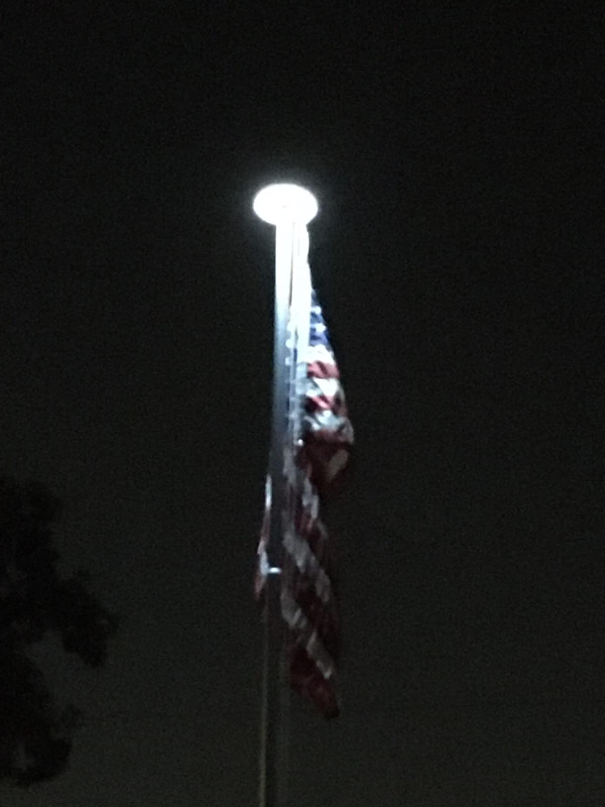 617zY4GpwTL._SL1600_